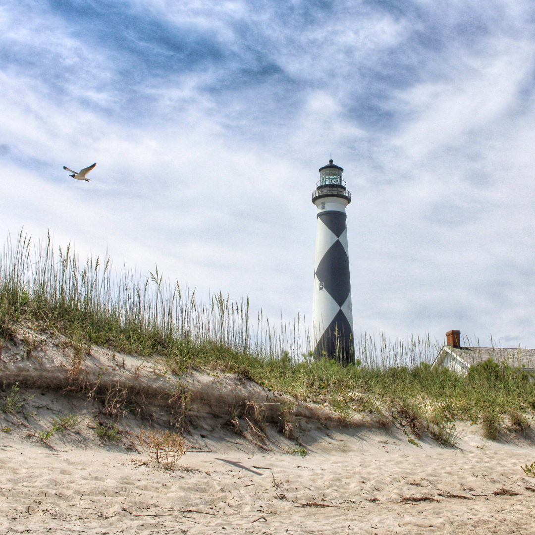 🏍️ Plan the Ultimate Exploration at Cape Lookout w UTV