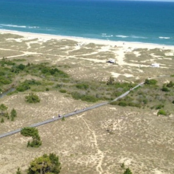 🌊 Plan a Day Trip to Cape Lookout with Shelling! BEST SELLER!