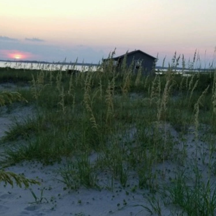 🌅 Plan a Cabin Stay at Cape Lookout