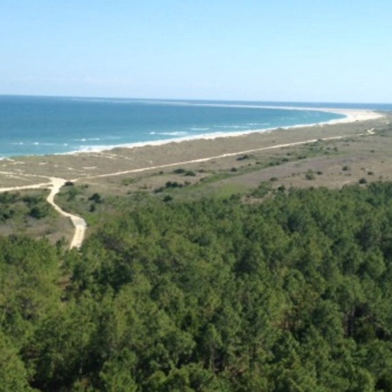 ⛺ Plan a Beach Camping Trip at Cape Lookout