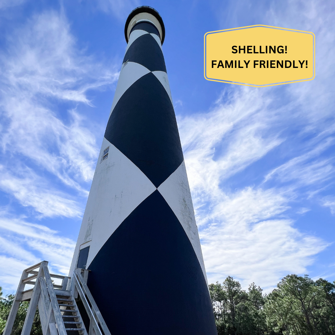 🌊 Plan a Day Trip to Cape Lookout with Shelling! BEST SELLER!