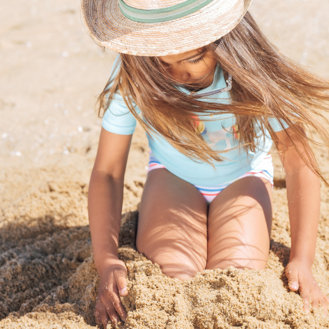 🌊 Plan a Day Trip to Cape Lookout with Shelling! BEST SELLER!